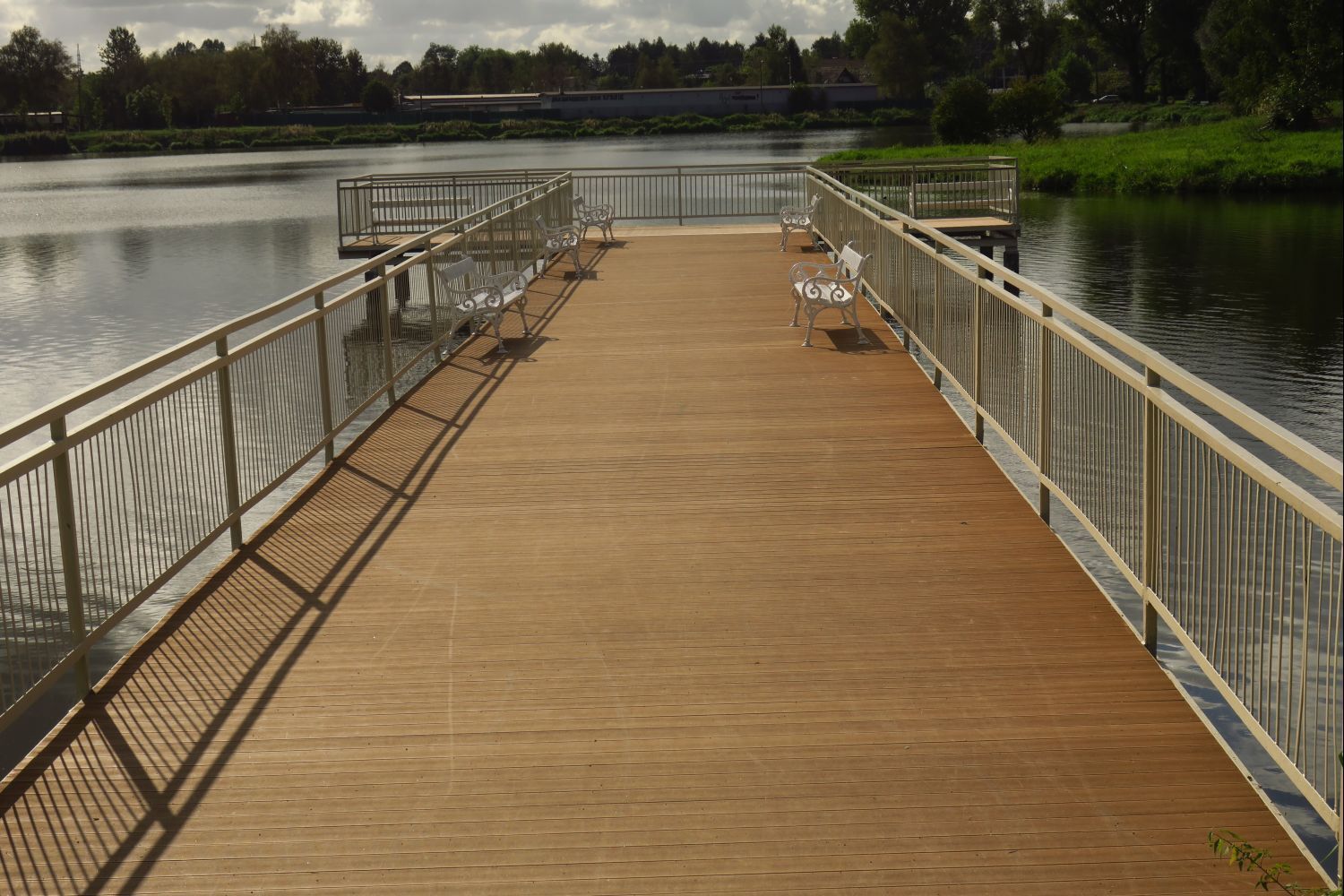 Paruszowiec staw fot L Tyl 1