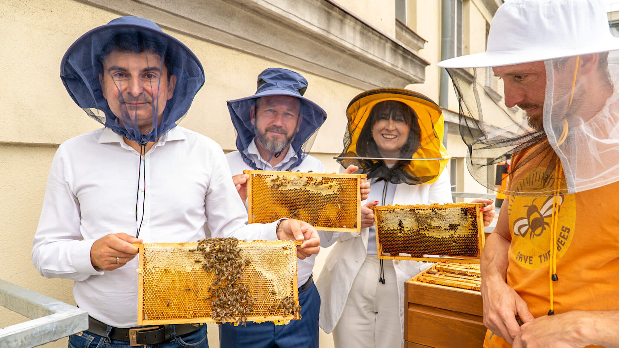 Pasieka na dachu urzedu wojewodzkiego