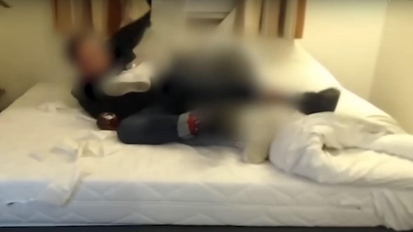 Patostreamerzy z bytomia