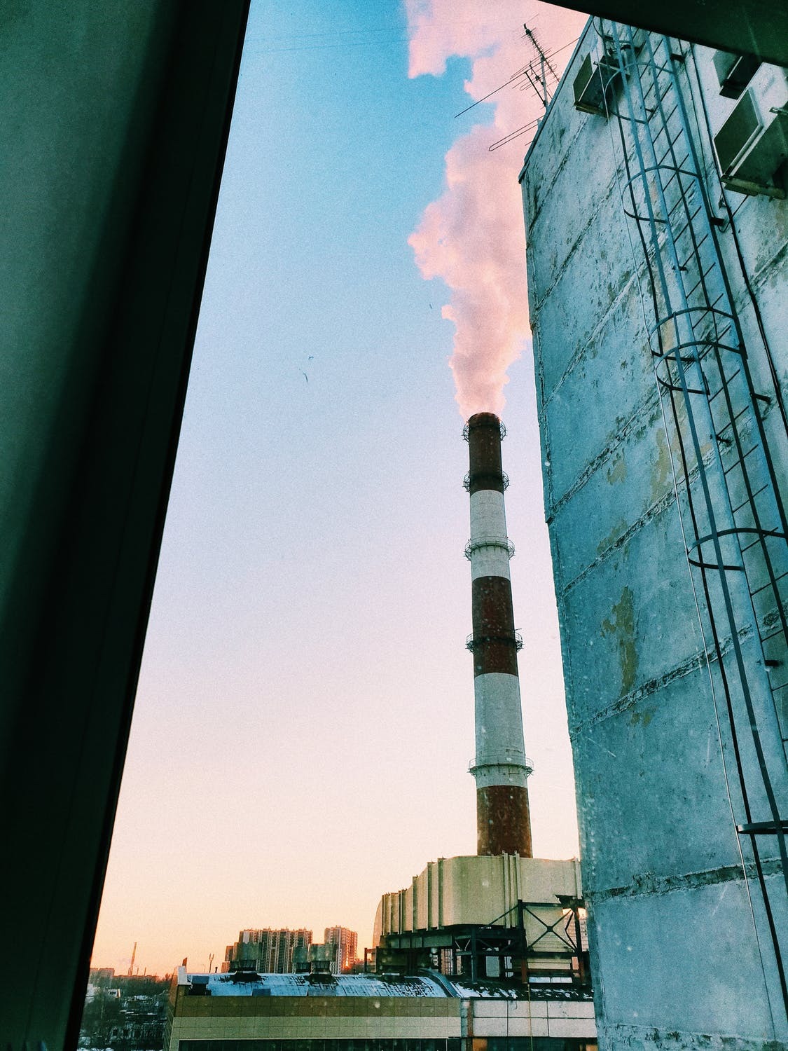 Pexels photo 2262986