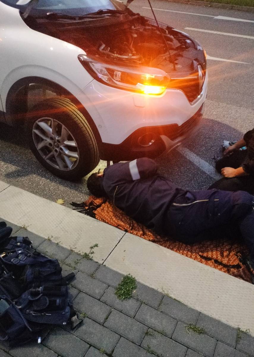 Pies zaklinowany w komorze silnika