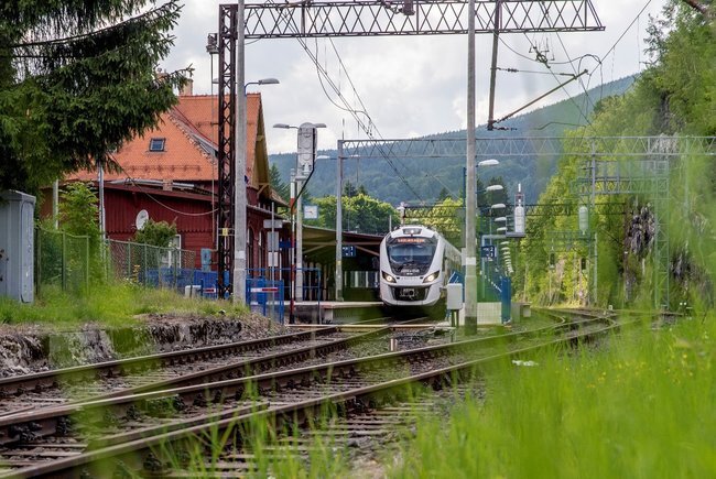 Pkp 01