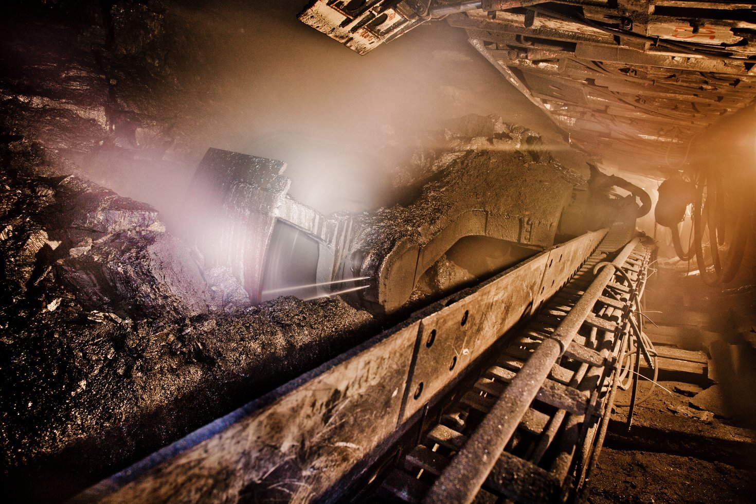 Pniowek 02 fot dawid lach