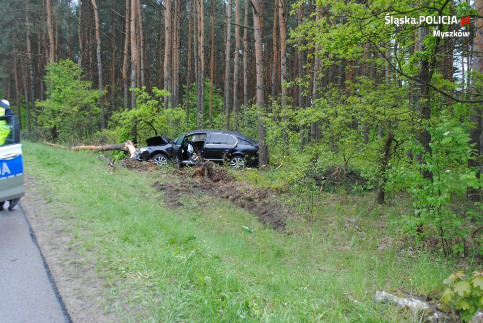 Policja myszkow