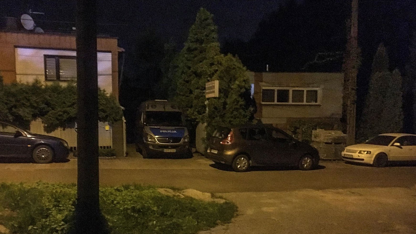 Poliporwolik