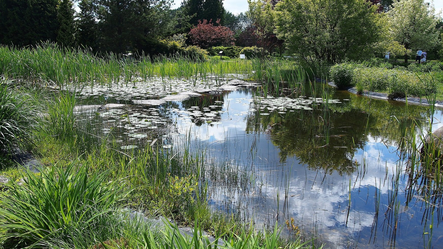 Pond 2380145 1920