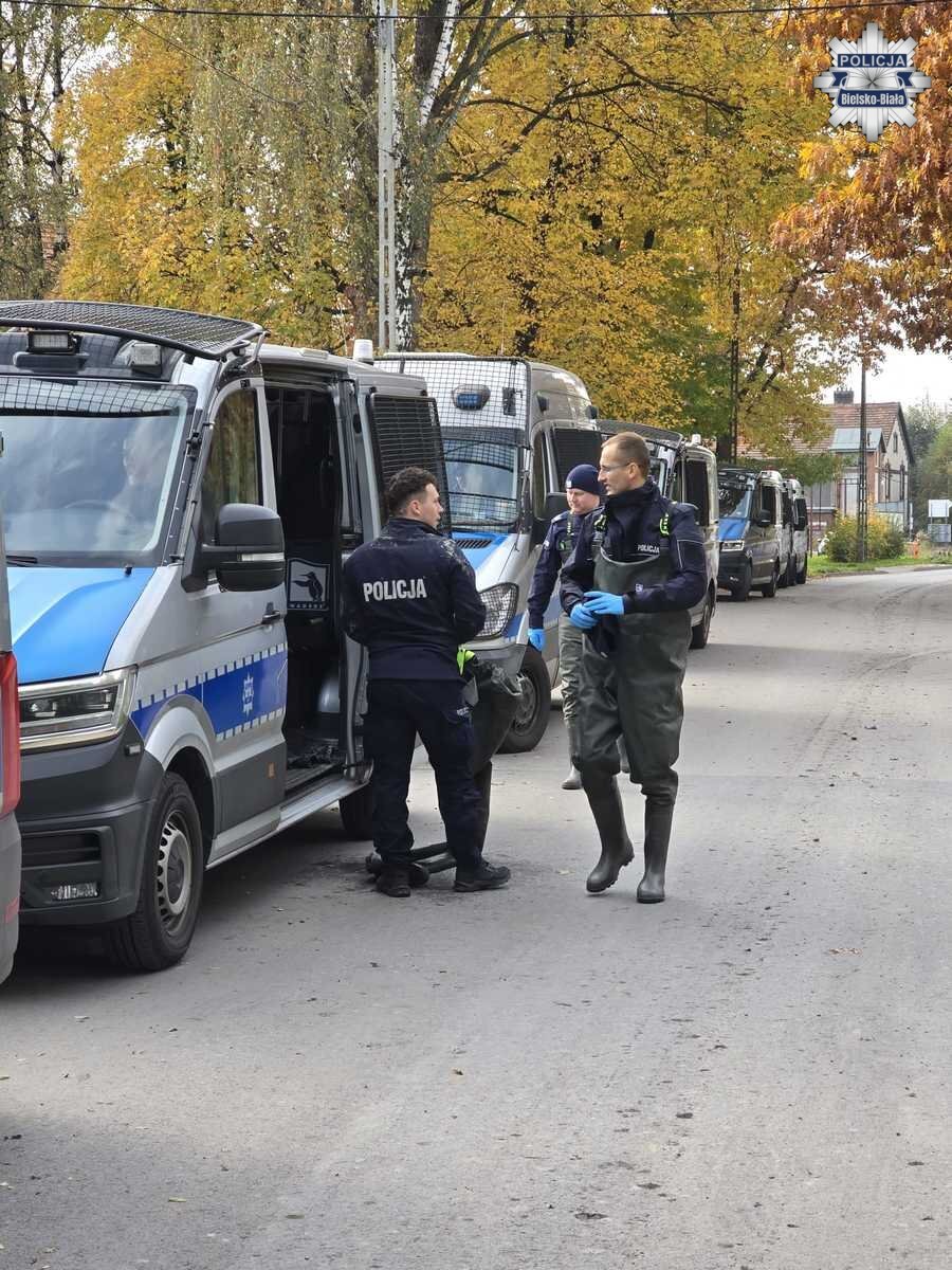 Poszukiwania karoliny wróbel