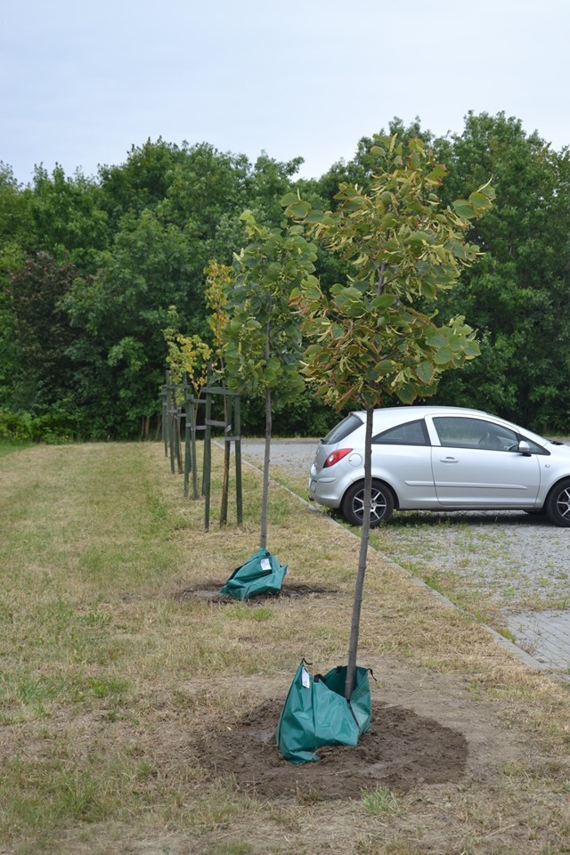 Przeprowadzka1