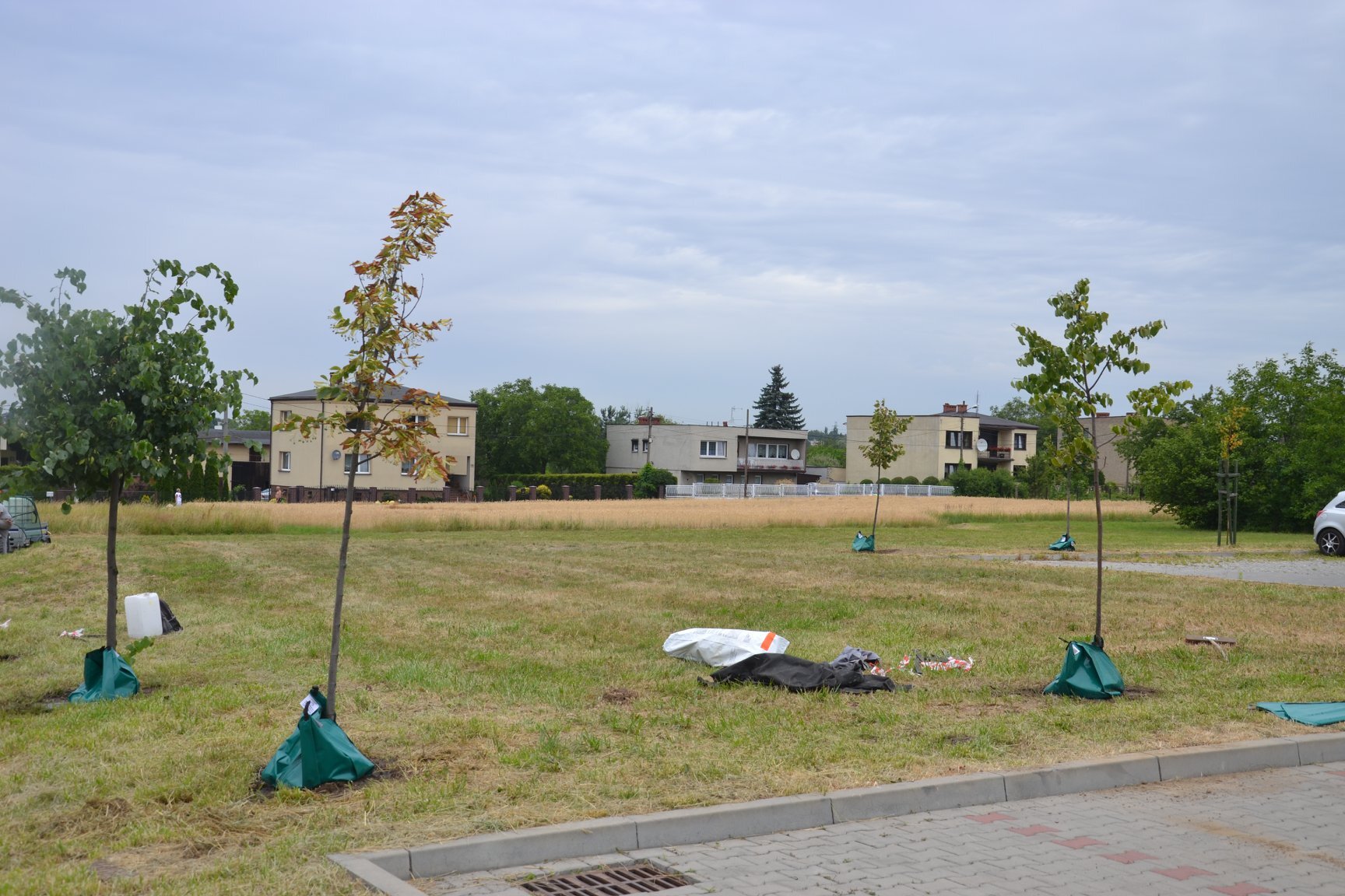 Przeprowadzka5