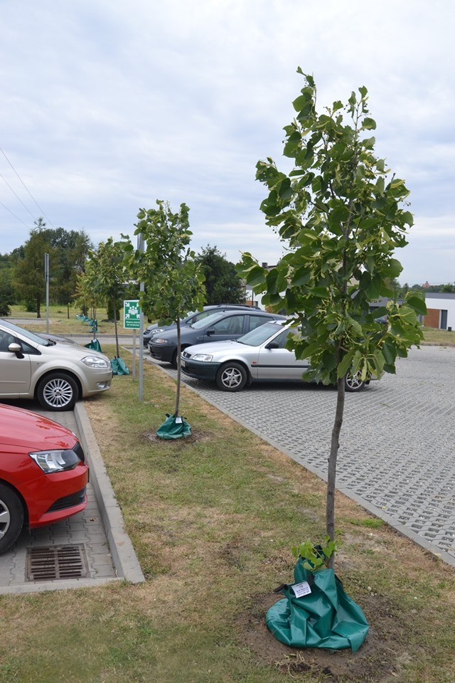 Przeprowadzka6