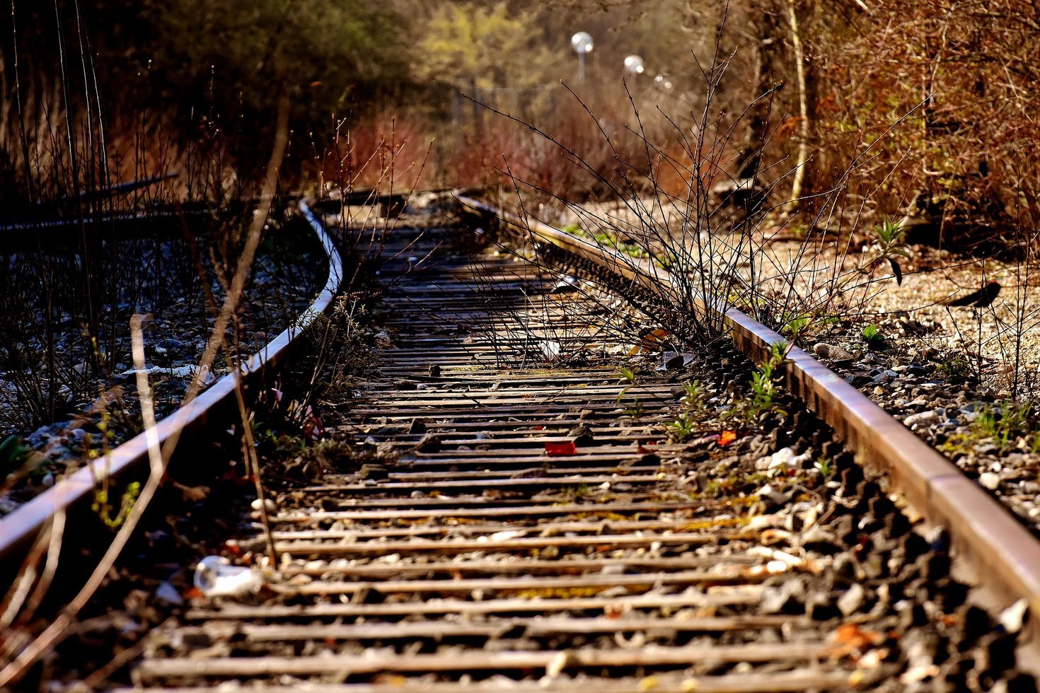 Rails 3371495 1920