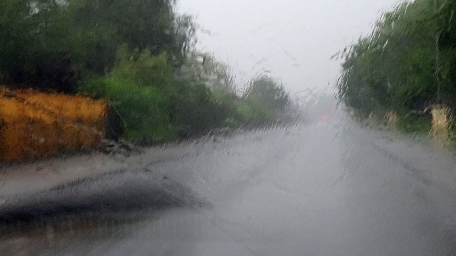 Rain 555831 1920