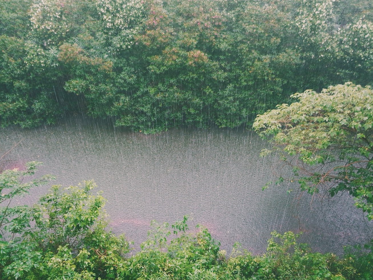 Raining 828890 1920