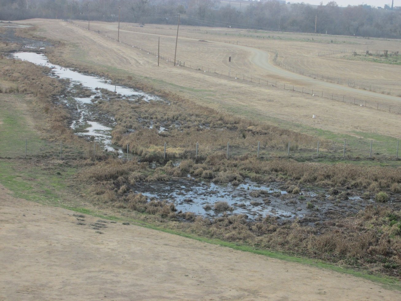 River in drought