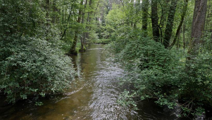 Rzeka