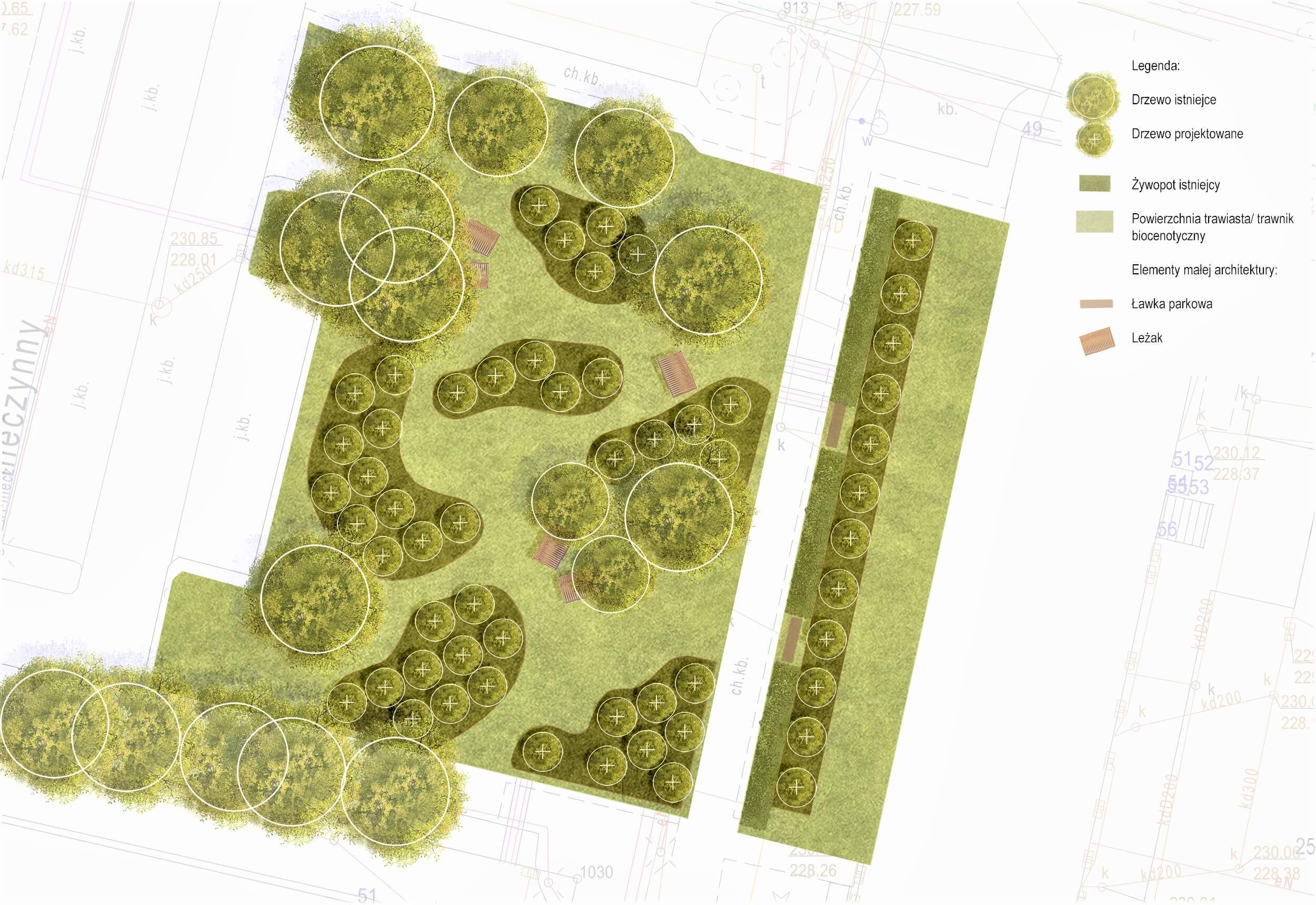 Sad w gliwicach projekt