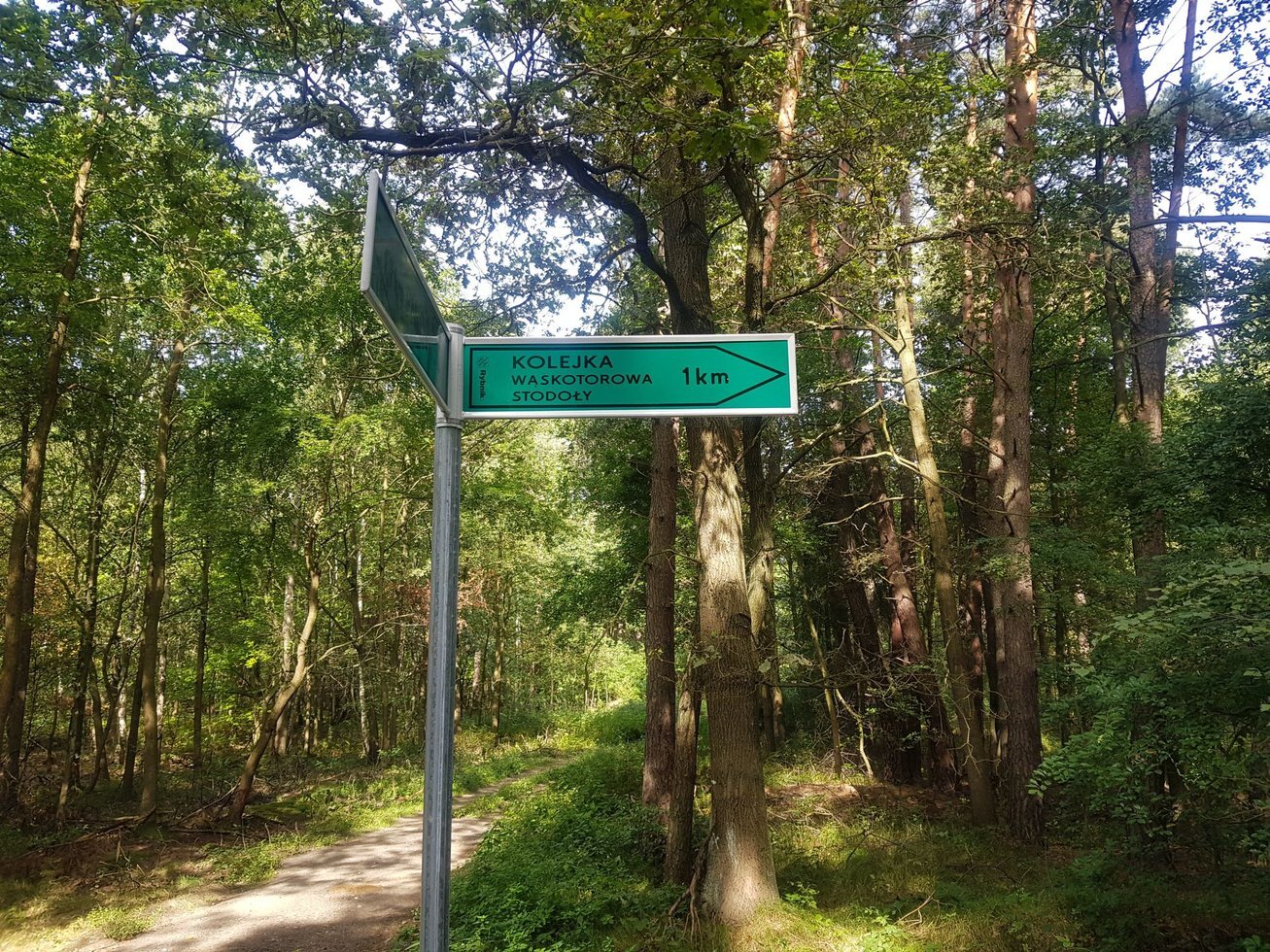Sciezka Pniowiec fot L Karbowinski 5