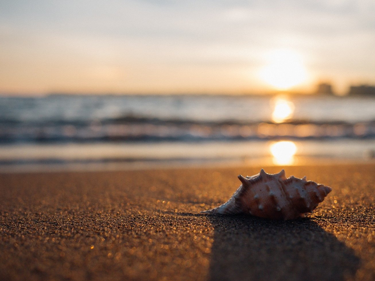 Shell 1031290 1920 01