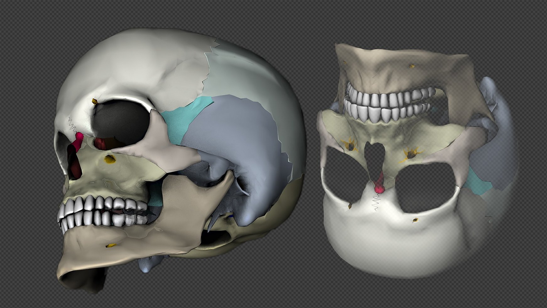 Skull 1511876 1920
