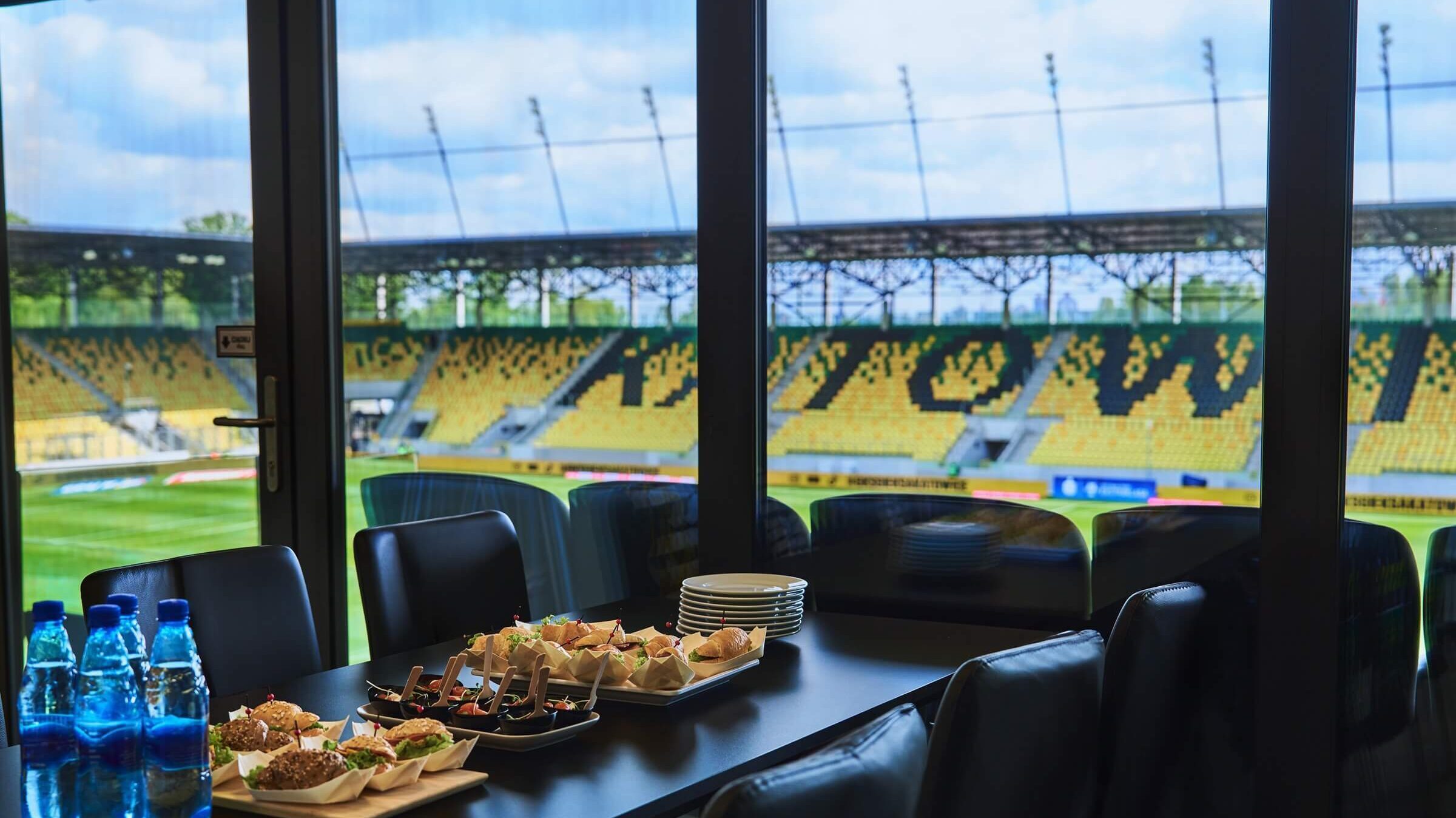 Skybox w Arenie Katowice