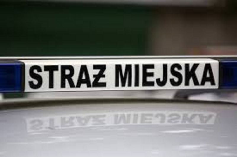 Sm 01