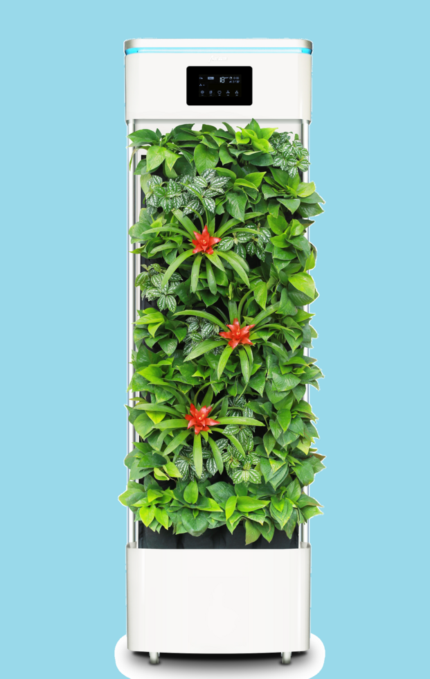 Smart plant purifier 2397586 1920