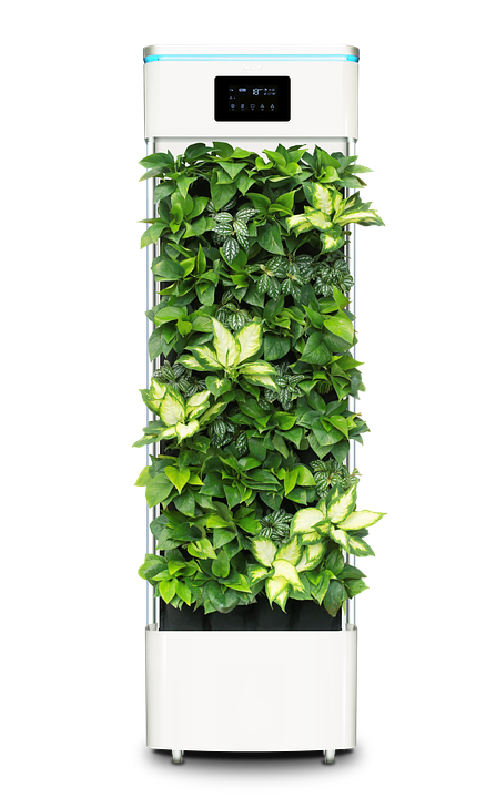 Smart plant purifier 2397588 960 720