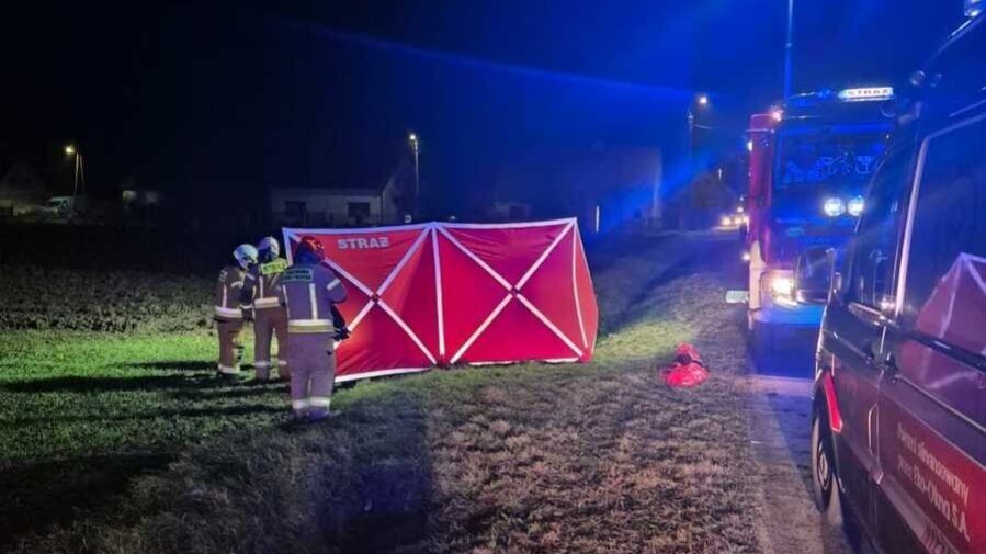 Smiertelne potracenie krzanowice