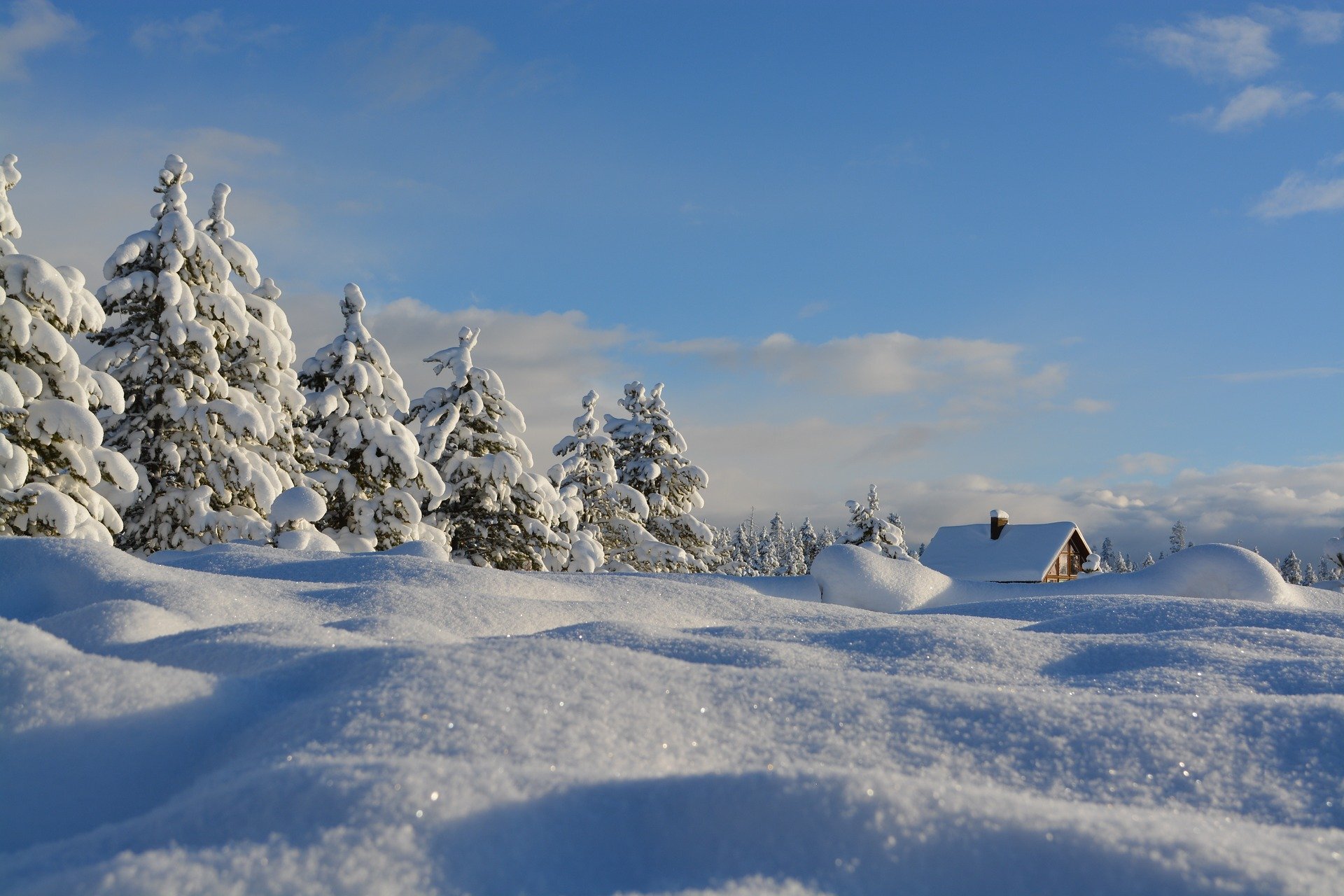 Snow 1209991 1920