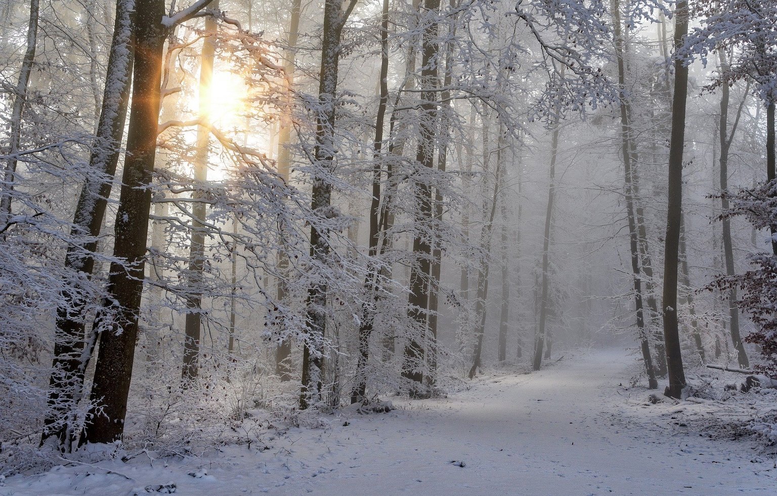 Snow 4668099 1920
