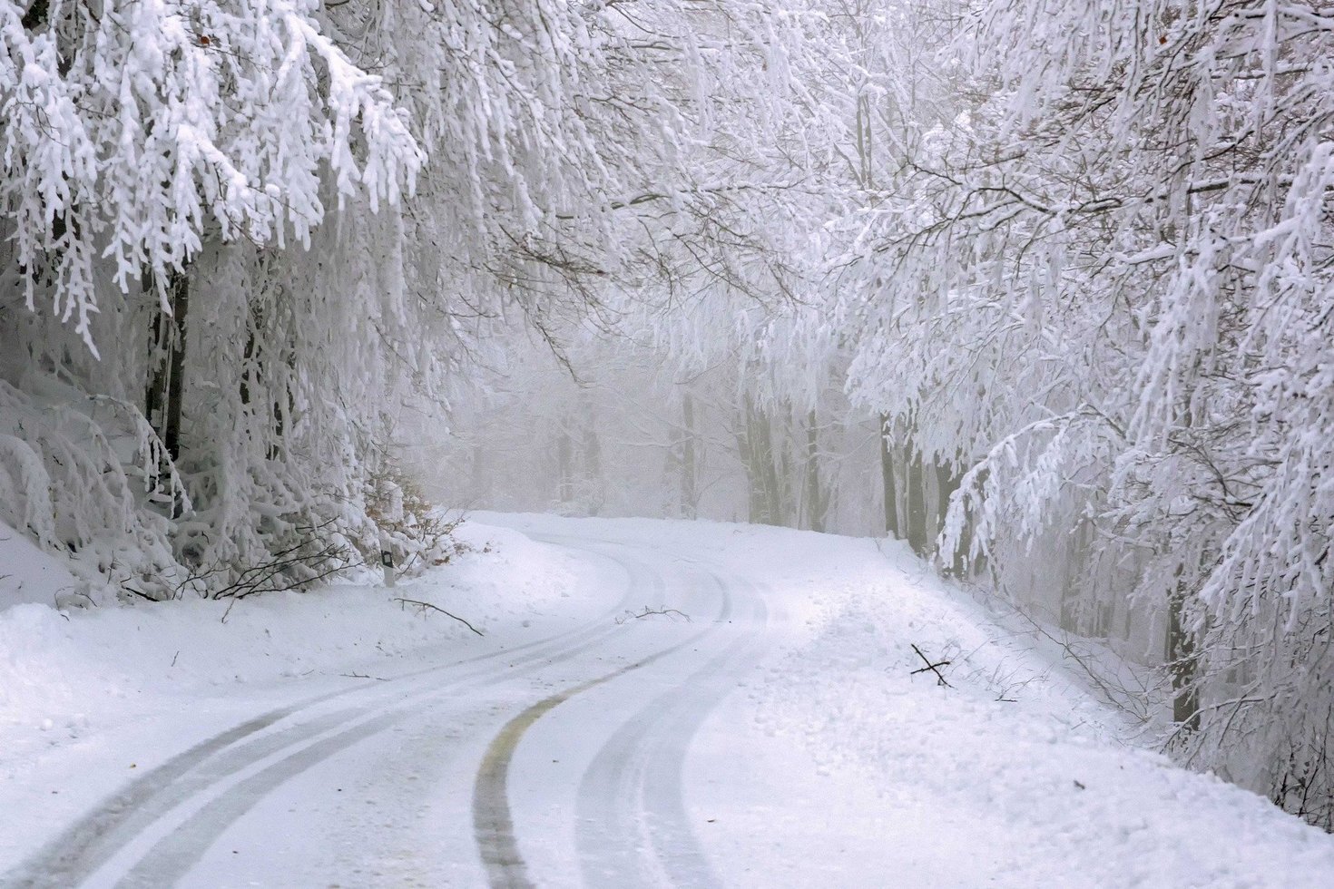 Snow 4730553 1920