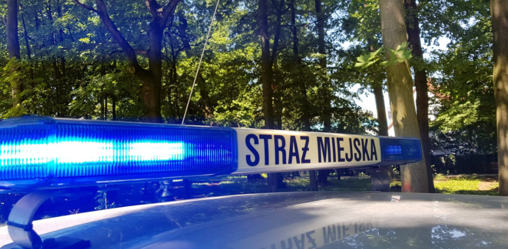 Strmmgliwice
