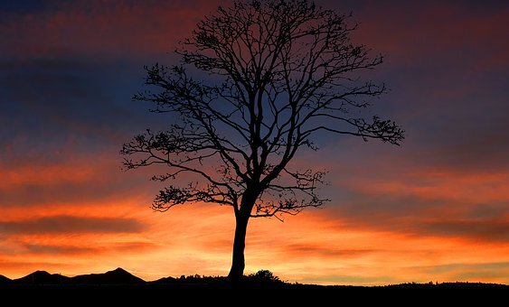 Sunset 4251481 340