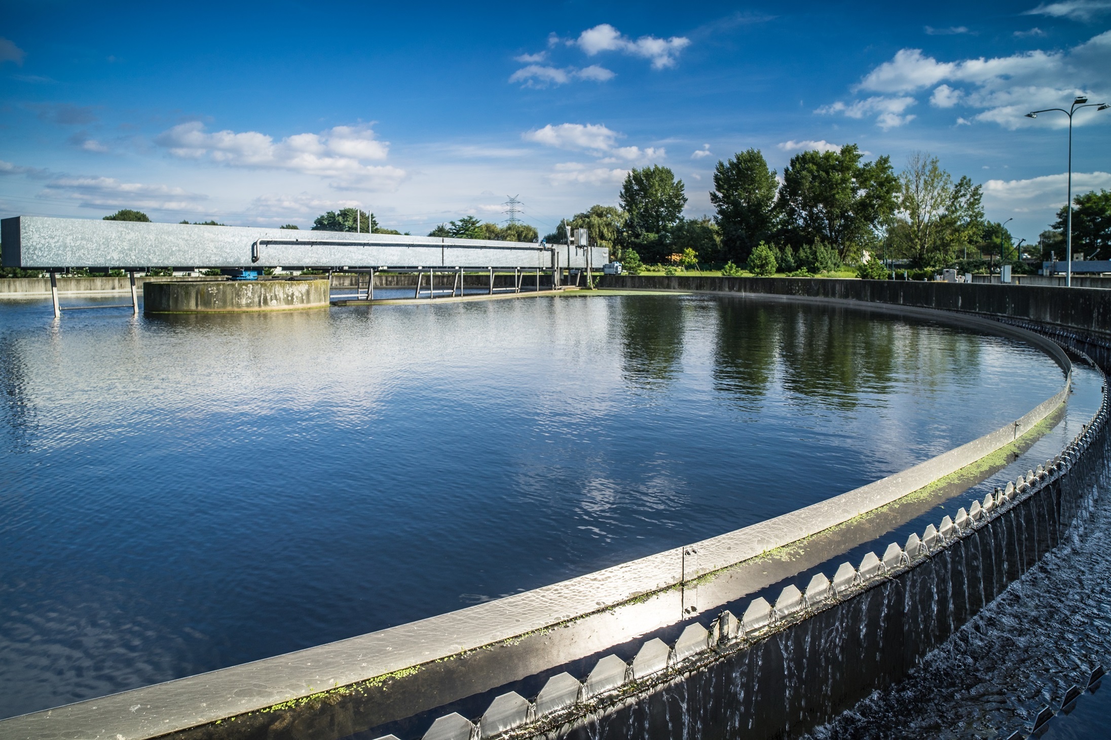 Swiatowy Dzien Walki z Pustynnieniem i Susza