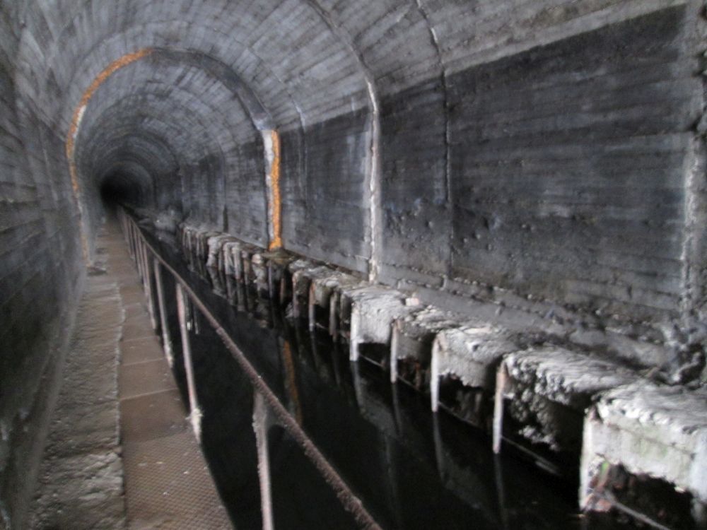 Szarlejka kanal1