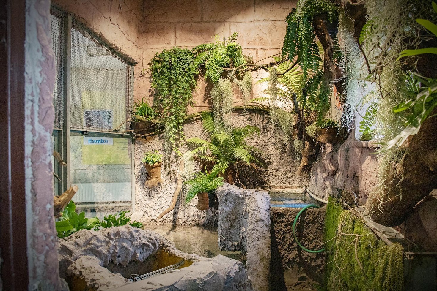 Terrarium zolw sepi 1