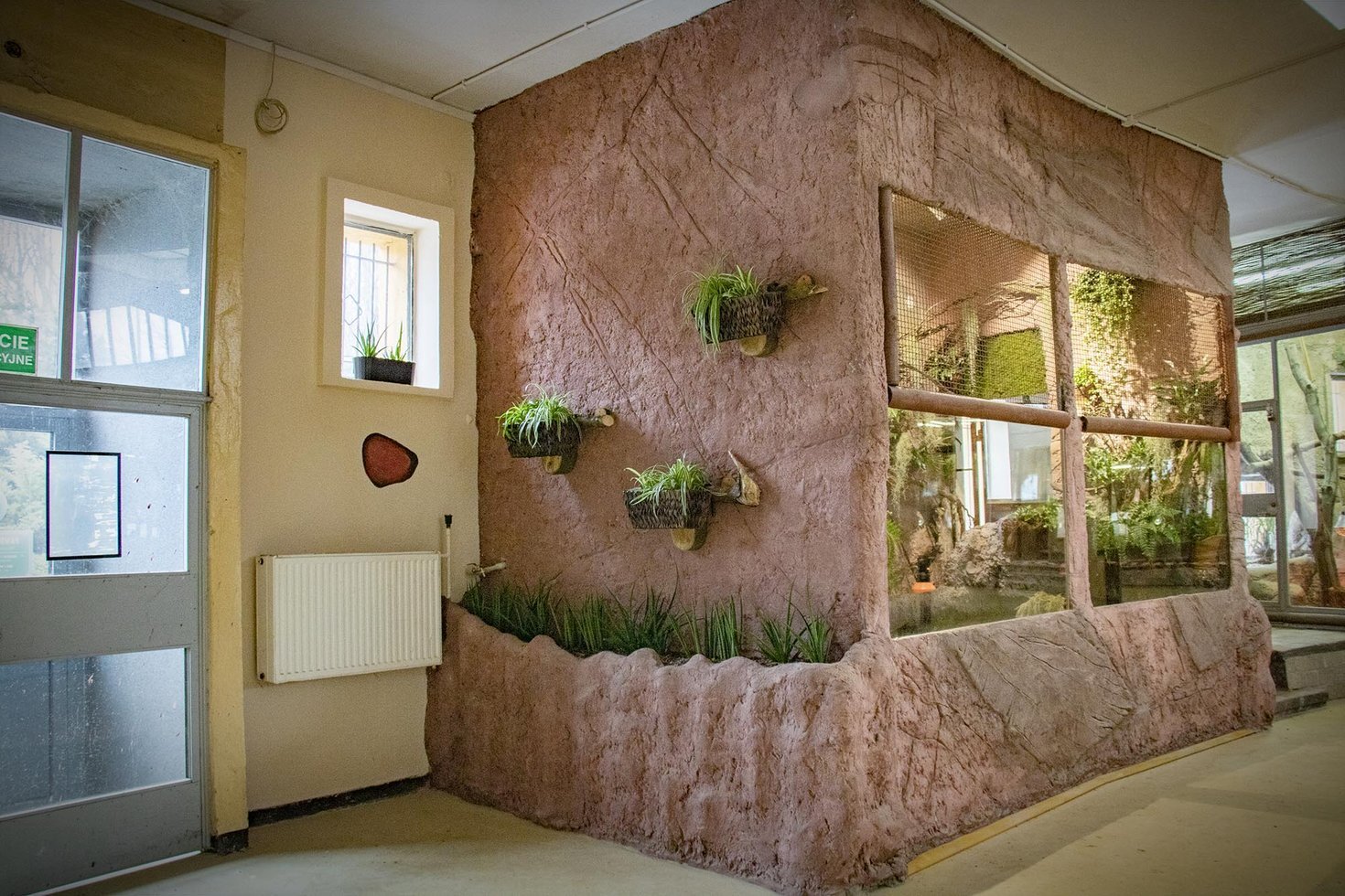 Terrarium zolw sepi 4