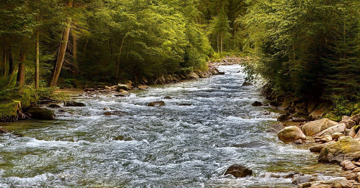 Torrent 4435196 1920