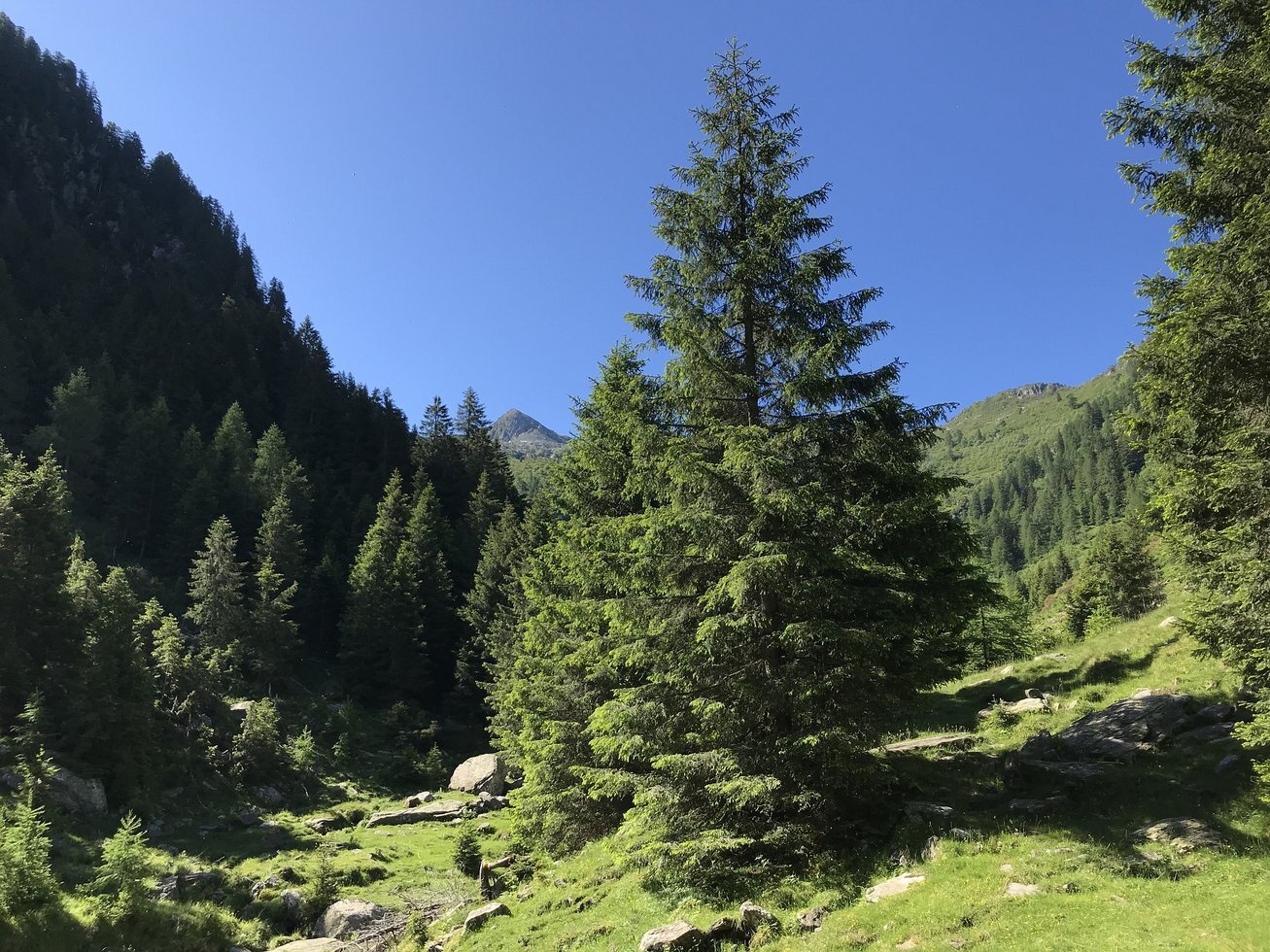 Towards the top of the cugn 5430656 1920