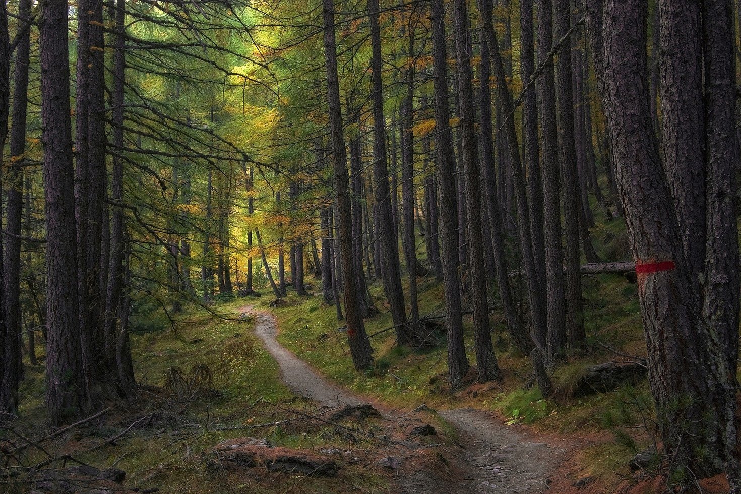 Trail 5726987 1920