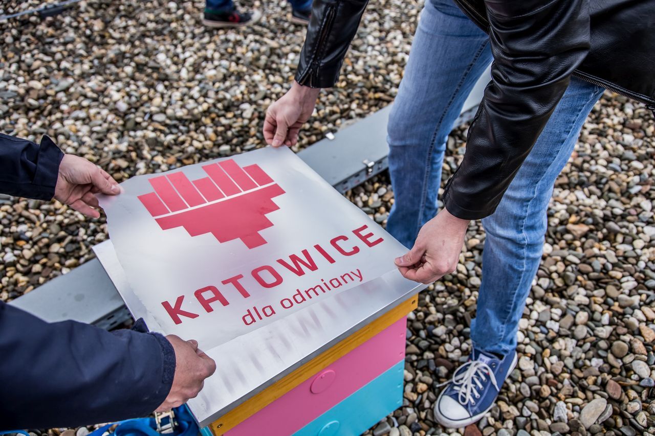 Ule katowice 1