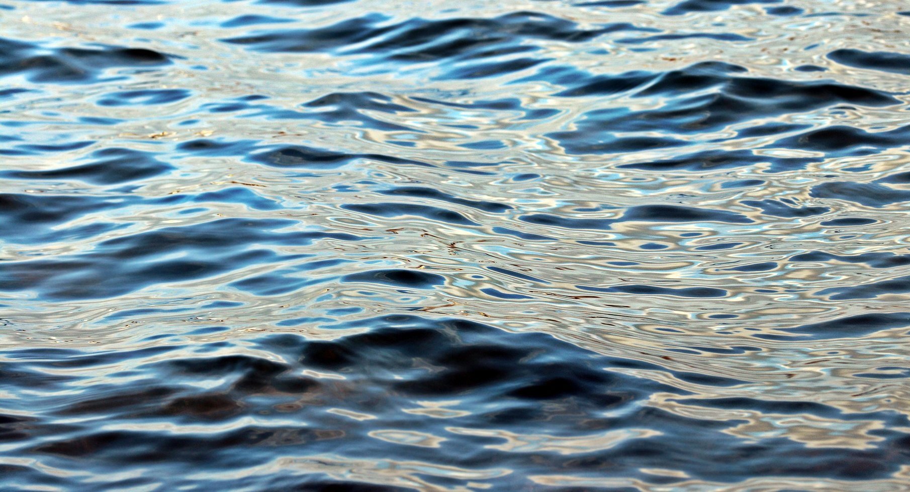 Waters 3085701 1920