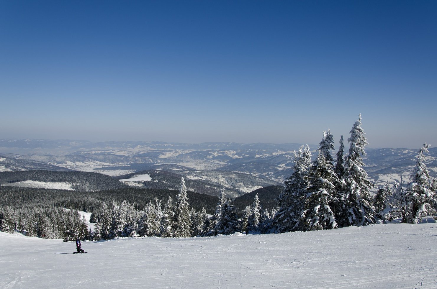 Winter 595692 1920