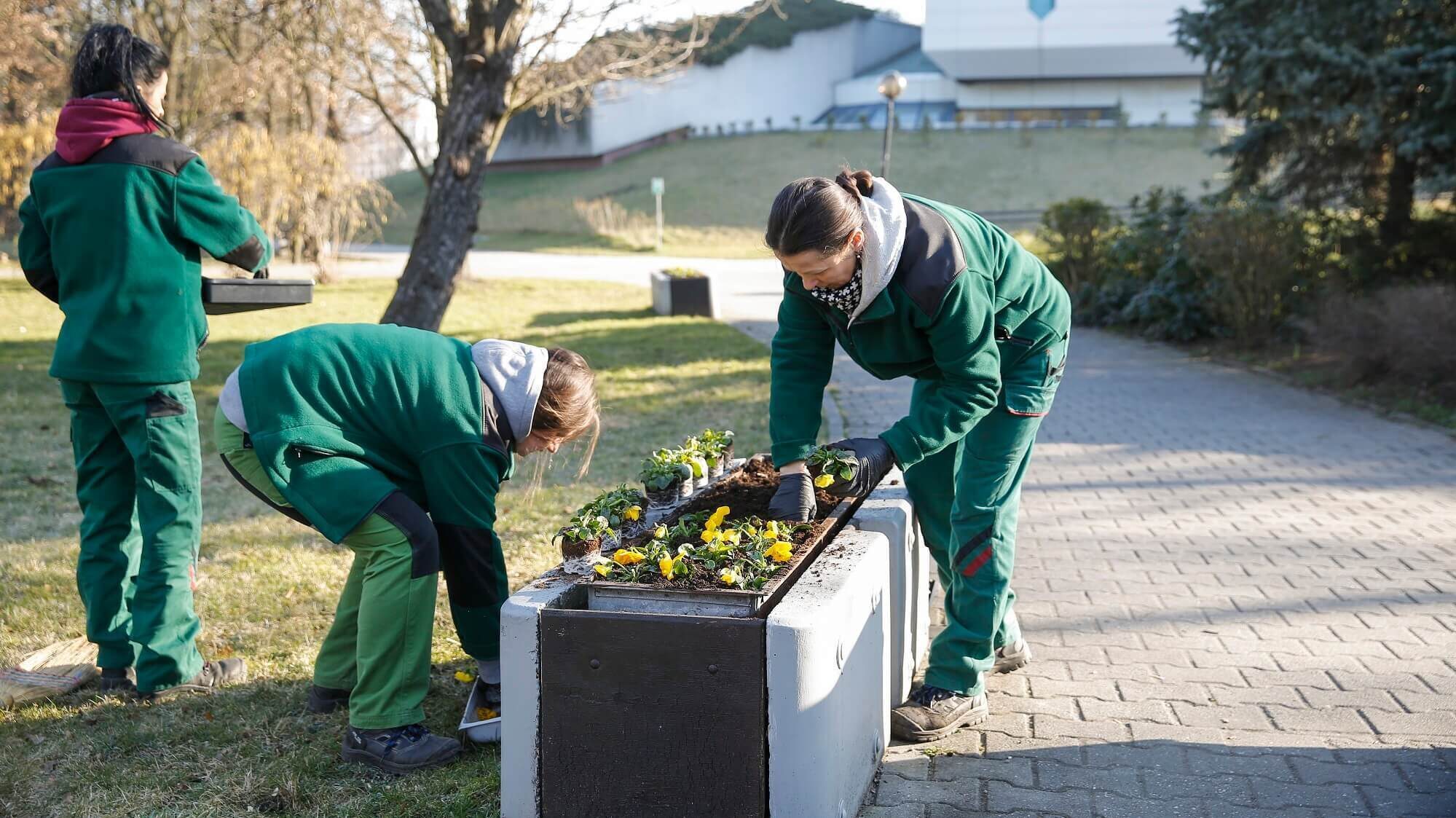 Wiosenne porzadki w katowicach
