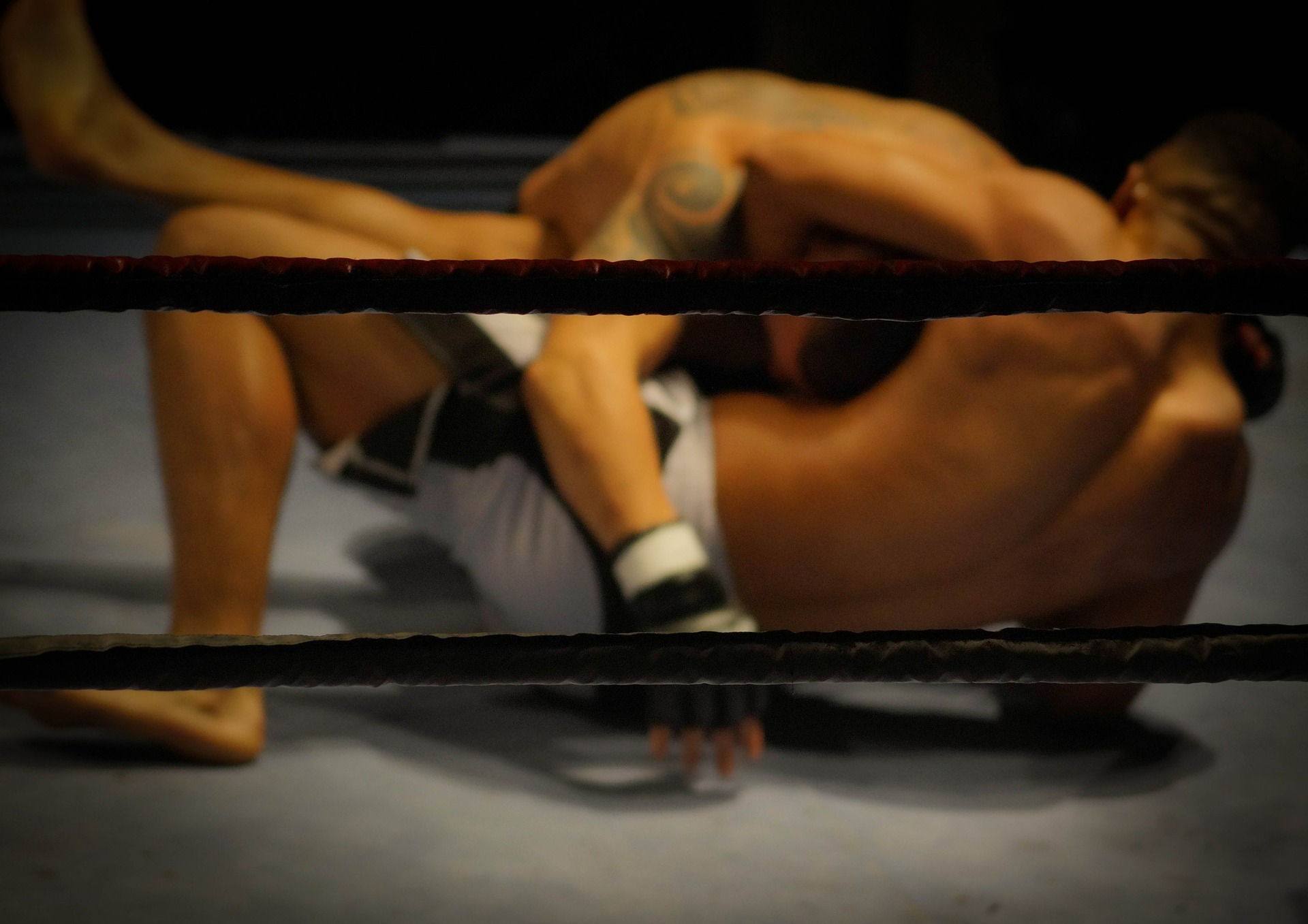 Wrestling 384652 1920