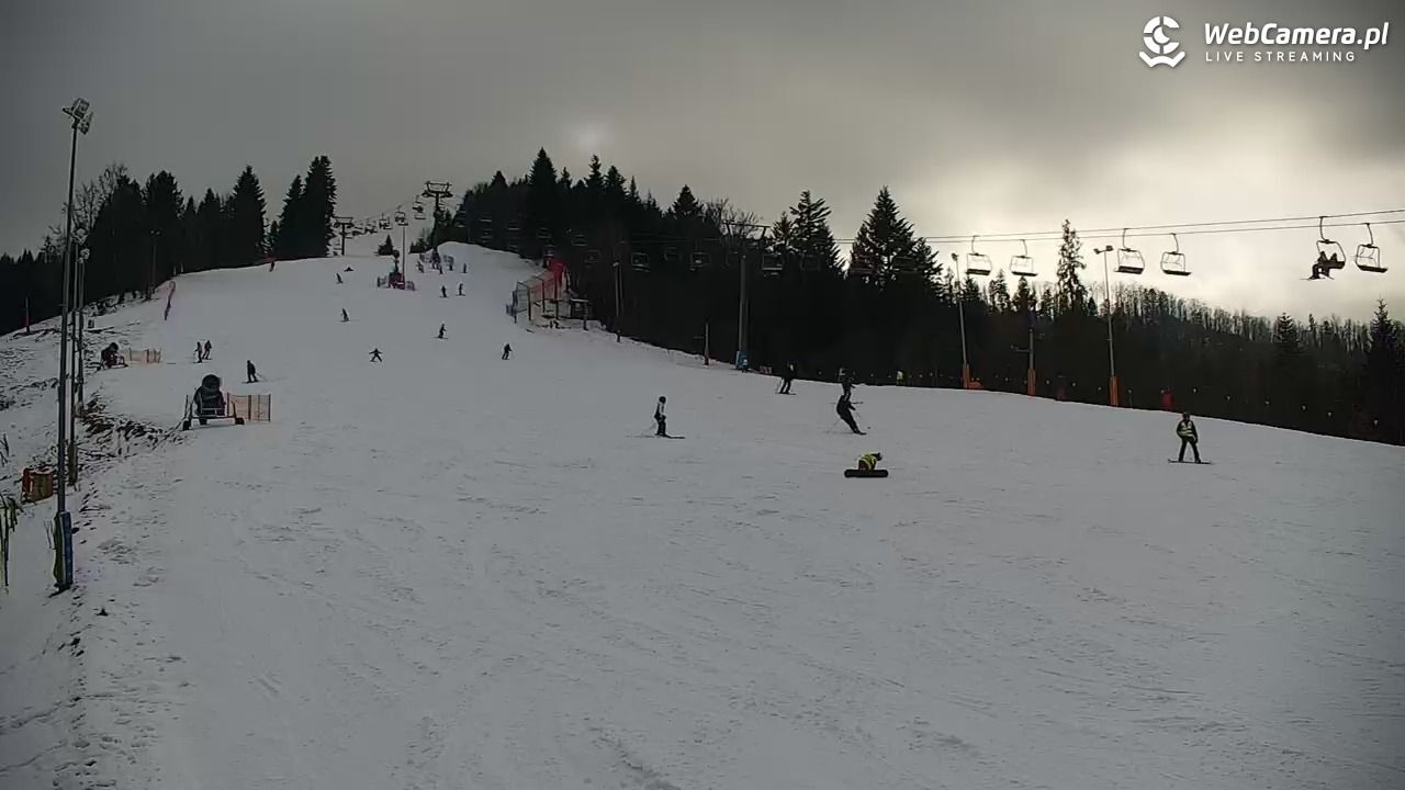 Wsla cienkow