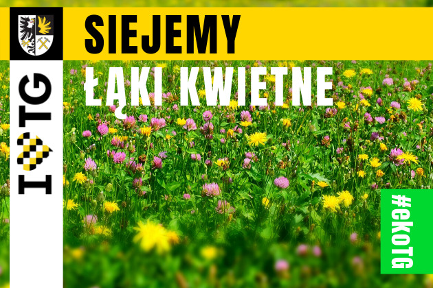 Www 2020 05 27 T140652 365