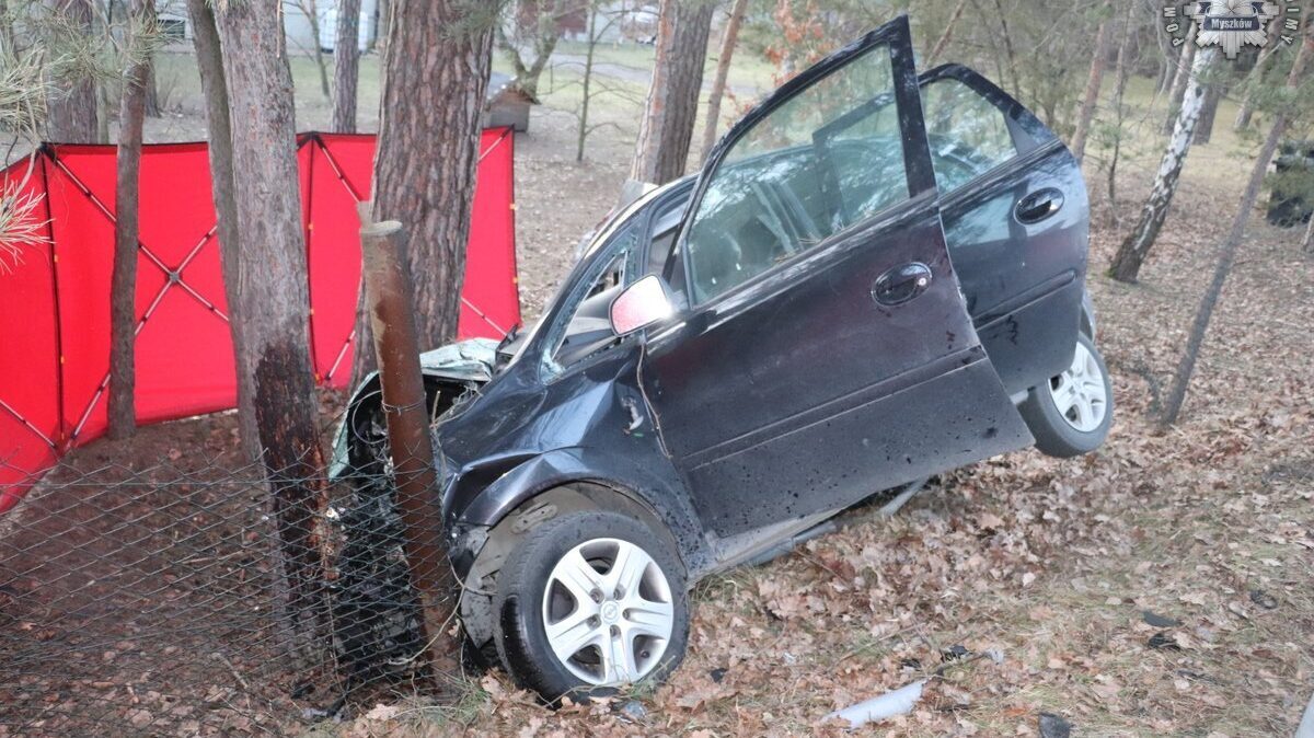 Wypadek smiertelny żarki