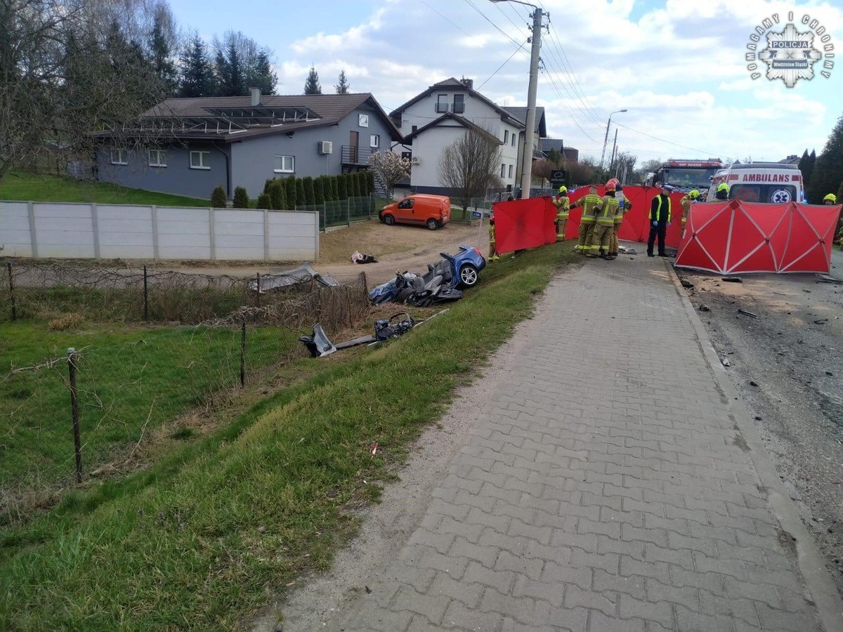 Wypadek smiertelny rogów