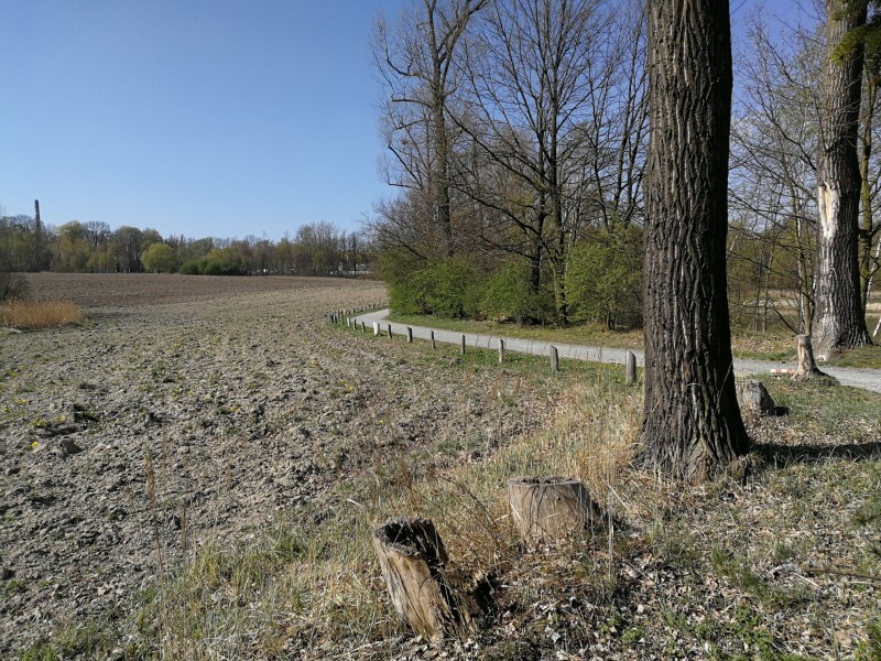 Z Ykf BQAEY Bg ZZ7 Y1 D5 Q Gtu1 Nk Au20 t Ump RIHO h Ft Foob Ilvn U